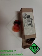 20190209_192838