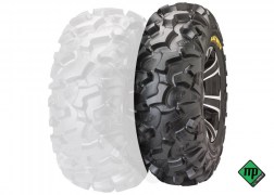 blackwater-evolution.anteriore